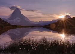 Góry, Alpy Pennińskie, Góra, Matterhorn, Jezioro, Riffelsee, Promienie słońca, Rośliny, Kanton Valais, Szwajcaria