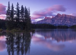 Jezioro, Two Jack Lake, Góry Skaliste, Góra Mount Rundle, Park Narodowy Banff, Drzewa, Odbicie, Alberta, Kanada