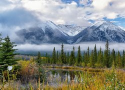 Kanada, Park Narodowy Banff, Jezioro Vermilion, Góry, Pasmo  Sundance Range, Mgła, Chmury, Drzewa