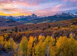 Widok znad lasów na góry San Juan Mountains