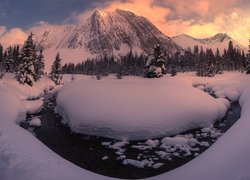 Widok znad rzeczki na ośnieżone góry Canadian Rockies