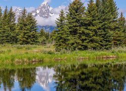 Widok znad rzeki na góry Grand Teton