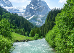 Widok znad rzeki na szczyt Wellhorn w Alpach Berneńskich