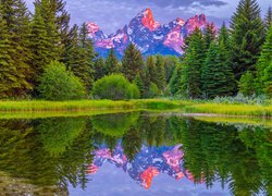 Stany Zjednoczone, Wyoming, Park Narodowy Grand Teton, Góry, Drzewa, Świerki, Rzeka, Odbicie