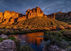 Stany Zjednoczone, Arizona, Góry, Goldfield Mountains, Rzeka, Salt River, Roślinność