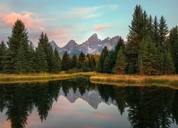 Widok znad rzeki Snake River na drzewa i pasmo górskie Teton Range