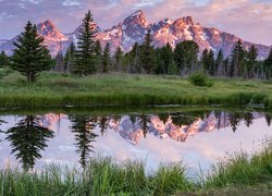 Drzewa, Góry, Teton Range, Rzeka, Snake River, Odbicie, Trawa, Lato, Park Narodowy Grand Teton, Stan Wyoming, Stany Zjednoczone