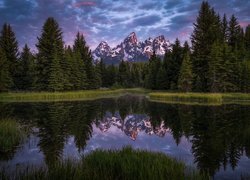 Stany Zjednoczone, Stan Wyoming, Park Narodowy Grand Teton, Góry, Teton Range, Rzeka, Snake River, Las, Drzewa, Chmury, Odbicie