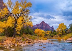 Jesień, Park Narodowy Zion, Góry, Góra Watchman, Drzewa, Rzeka Virgin River, Kamienie, Chmury, Stan Utah, Stany Zjednoczone