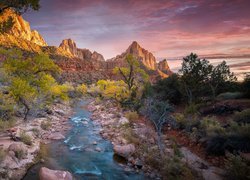 Góry, Góra Watchman, Rzeka, Virgin River, Drzewa, Park Narodowy Zion, Utah, Stany Zjednoczone