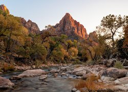 Park Narodowy Zion, Góra Watchman, Jesień, Drzewa, Góry, Kamienie, Rzeka, Virgin River, Stan Utah, Stany Zjednoczone