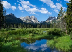 Stany Zjednoczone, Stan Idaho, Góry Sawtooth Range, Szczyt Horstmann Peak, Drzewa, Rozlewiska, Trawa