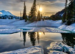 Zima, Jezioro Tipsoo, Drzewa, Zachód słońca, Park Narodowy Mount Rainier, Góry, Stratowulkan Mount Rainier, Stan Waszyngton, Stany Zjednoczone