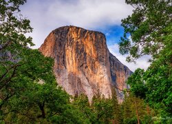 Widok zza drzew na górę El Capitan w Parku Narodowym Yosemite