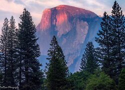 Widok zza drzew na górę Half Dome