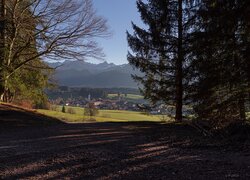 Widok zza drzew na góry i miasteczko Allgau