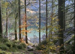 Jezioro Hintersee, Skały, Las, Drzewa, Park Narodowy Berchtesgaden, Bawaria, Niemcy