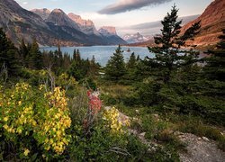 Widok zza drzew na jezioro Saint Mary Lake i Góry Skaliste