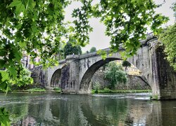 Widok zza drzew na most Ponte Sao Goncalo w Amarante