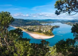 Drzewa, Rzeka, Tairua River, Pauanui, Region Waikato, Nowa Zelandia