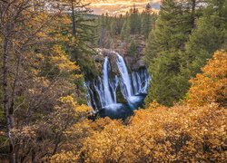 Widok zza drzew na wodospad Burney Falls