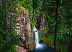 Widok zza drzew na wodospad Toketee Falls w Oregonie