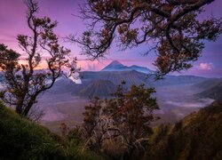 Widok zza drzew na wulkany na wyspie Jawa w Indonezji