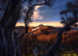 Widok zza drzew na wulkany na wyspie Jawa