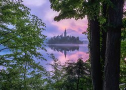 Widok zza drzew na wyspę Blejski Otok