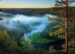 Las, Rzeka Kitkajoki, Mgła, Drzewa, Sosny, Gmina Kuusamo, Finlandia