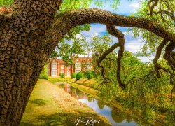 Widok zza drzewa na dworek Helmingham Hall nad fosą