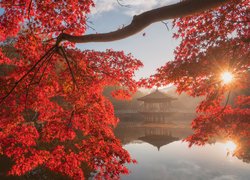 Jesień, Staw, Sagiike, Drzewo, Gałęzie, Czerwone, Liście, Altana, Pawilon Ukimido, Promienie słońca, Nara Park, Nara, Japonia