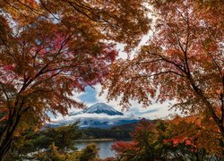 Widok zza jesiennych drzew na górę Fudżi