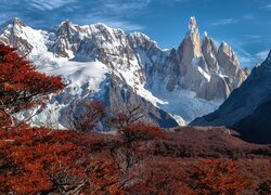 Widok zza jesiennych drzew na ośnieżone Andy i szczyt Fitz Roy