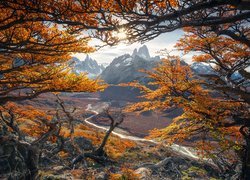 Argentyna, Patagonia, Park Narodowy Los Glaciares, Jesień, Góry, Szczyt Fitz Roy, Gałęzie, Drzewa, Rzeka Rio de las Vueltas, Promienie słońca