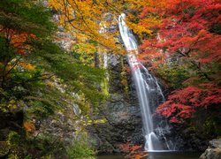 Jesień, Kolorowe, Drzewa, Skała, Wodospad Minoo, Park Narodowy Meiji no Mori Mino Quasi, Osaka, Japonia
