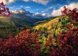 Widok zza kolorowych jesiennych drzew na chmury nad górami