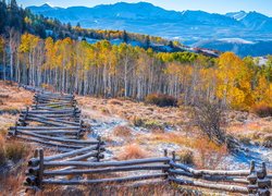 Jesień, Drzewa, Topole osikowe, Las, Ogrodzenie, Płot, Góry, San Juan Mountains, Telluride, Kolorado, Stany Zjednoczone