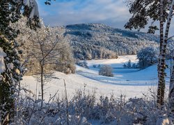 Zima, Śnieg, Góry, Ośnieżone, Drzewa