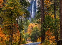 Jesień, Las, Drzewa, Droga, Wodospad, Bridalveil Fall, Park Narodowy Yosemite, Kalifornia, Stany Zjednoczone