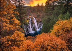 Wodospad, Burney Falls, Jesień, Drzewa, Park Stanowy McArthur Burney Falls, Kalifornia, Stany Zjednoczone
