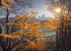 Argentyna, Patagonia, Góra, Fitz Roy, Jesień, Drzewa, Promienie słońca, Jezioro