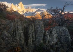 Argentyna, Patagonia, Góra, Fitz Roy, Skały, Jesień, Drzewa