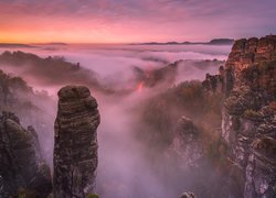 Góry Połabskie, Drzewa, Skały, Zachód słońca, Mgła, Park Narodowy Saskiej Szwajcarii, Niemcy