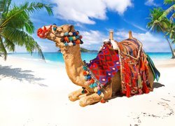 Wielbłąd na morskiej plaży z palmami