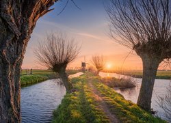 Wiatraki, Rzeka, Wschód słońca, Drzewa, Wierzby, Wieś Kinderdijk, Holandia