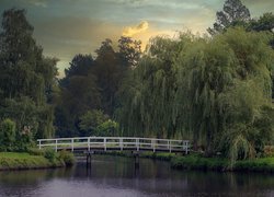 Wierzby płaczące i mostek nad stawem w ogrodzie różanym Rosarium Uetersen