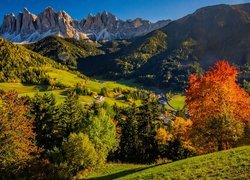 Włochy, Góry, Dolomity, Dolina Val di Funes, Santa Maddalena, Jesień, Domy, Drzewa