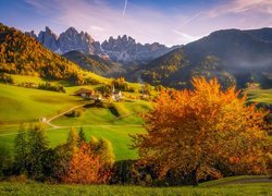Włochy, Dolomity, Dolina Val di Funes, Wieś Santa Maddalena, Góry, Masyw Odle, Jesień, Lasy, Drzewa, Domy, Kościół