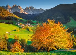 Włochy, Dolomity, Dolina Val di Funes, Wieś Santa Maddalena, Jesień, Góry, Masyw Odle, Lasy, Drzewa, Kościół